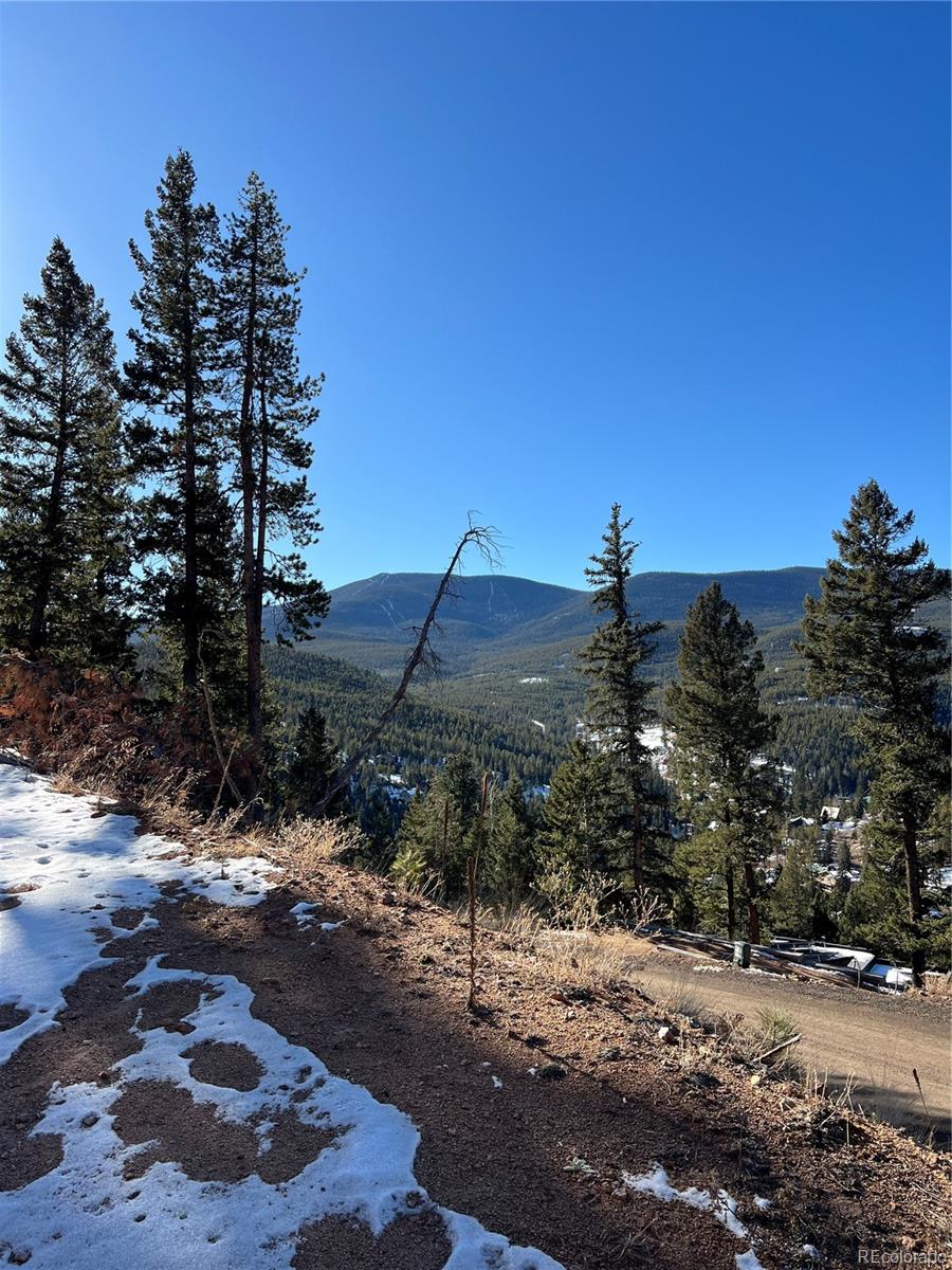 Address not available!, Evergreen, CO 80439, ,Land,For Sale,Timber Trail,REC4155560