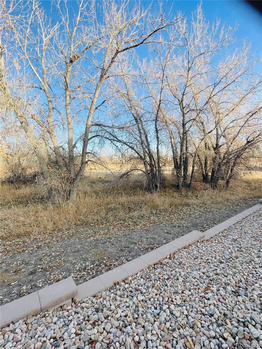 18669 54th Place, Denver, CO 80249, 3 Bedrooms Bedrooms, ,2 BathroomsBathrooms,Residential,For Sale,54th,REC6388149