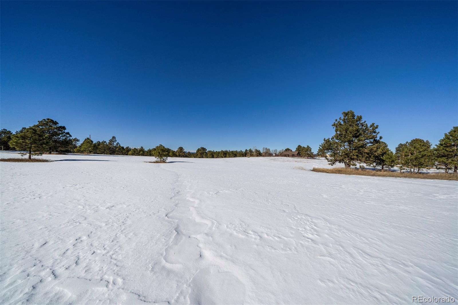 17875 Saddlewood Road, Monument, CO 80132, ,Land,For Sale,Saddlewood,REC6715857