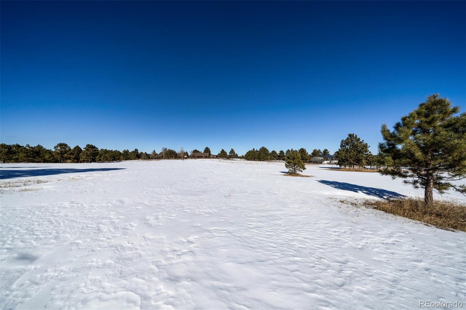 17875 Saddlewood Road, Monument, CO 80132, ,Land,For Sale,Saddlewood,REC6715857