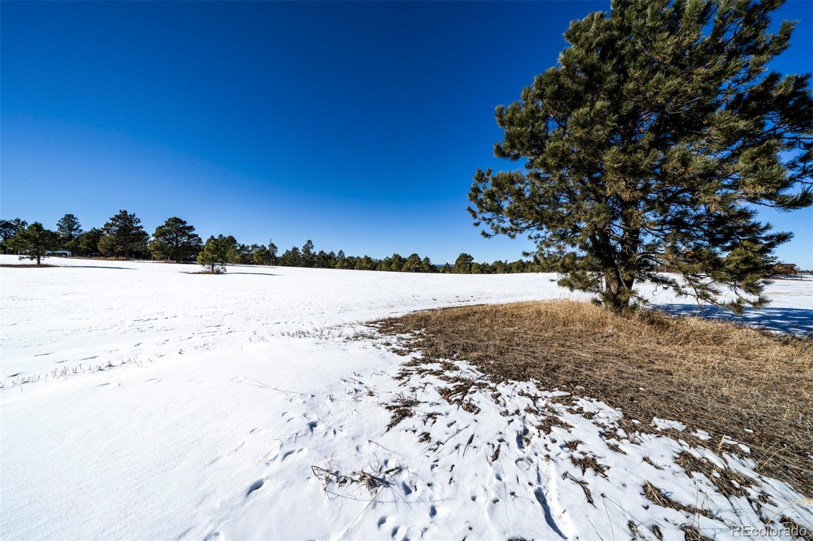 17875 Saddlewood Road, Monument, CO 80132, ,Land,For Sale,Saddlewood,REC6715857