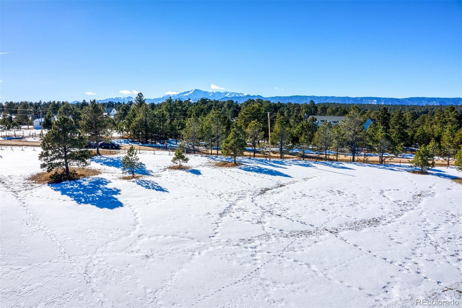 17875 Saddlewood Road, Monument, CO 80132, ,Land,For Sale,Saddlewood,REC6715857