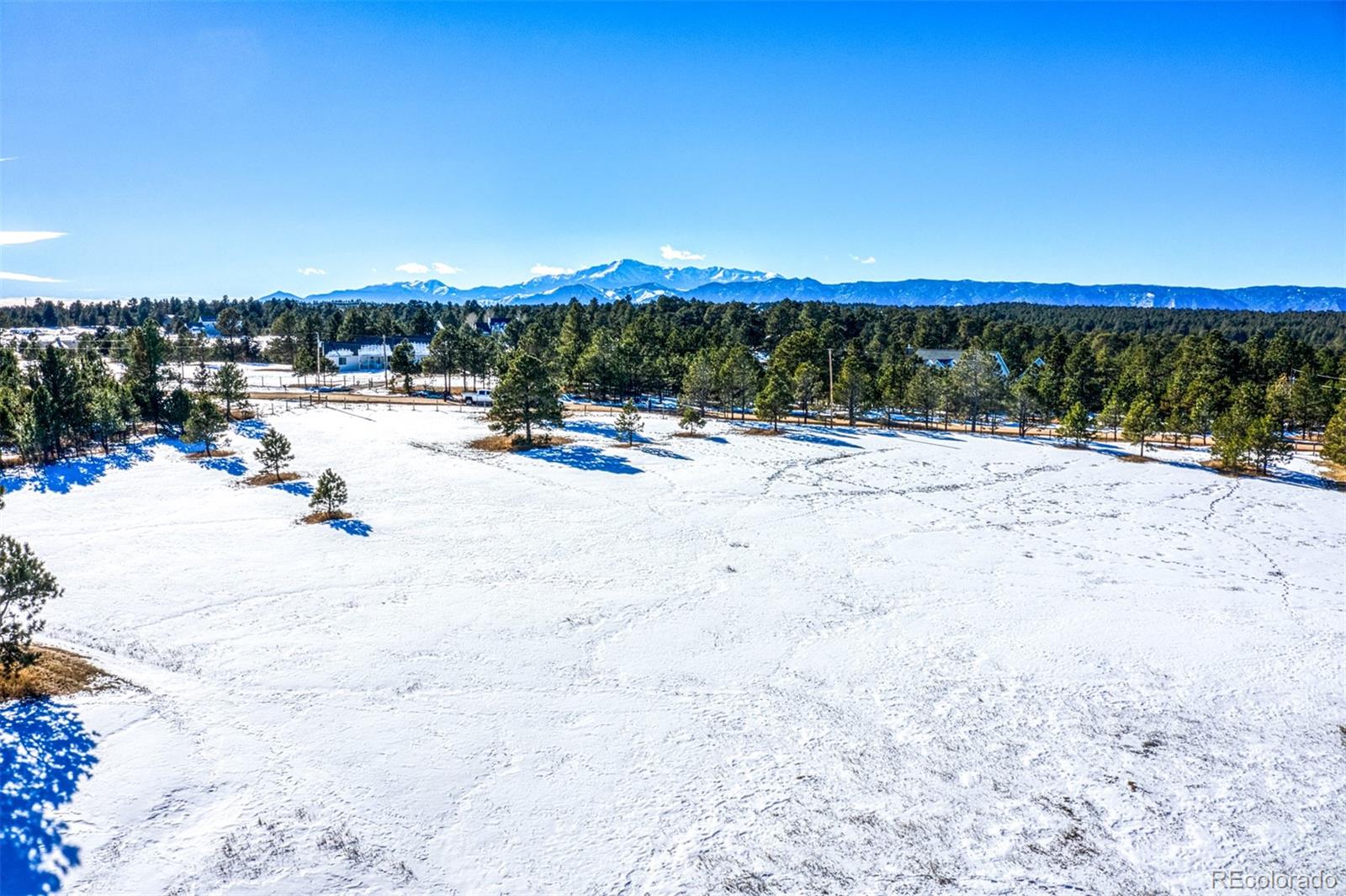 17875 Saddlewood Road, Monument, CO 80132, ,Land,For Sale,Saddlewood,REC6715857