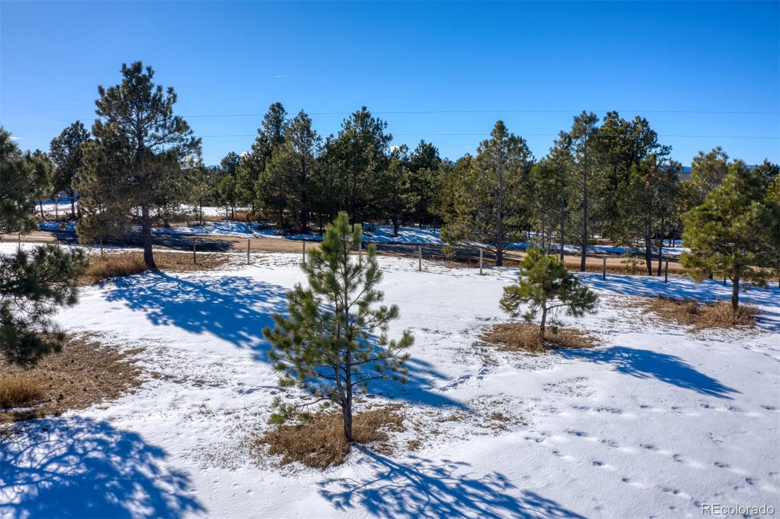 17875 Saddlewood Road, Monument, CO 80132, ,Land,For Sale,Saddlewood,REC6715857