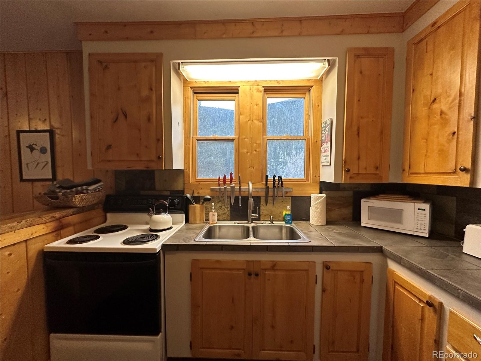 1054 Chicago Creek Road, Idaho Springs, CO 80452, 2 Bedrooms Bedrooms, ,1 BathroomBathrooms,Rental,For Rent,Chicago Creek,REC9191345