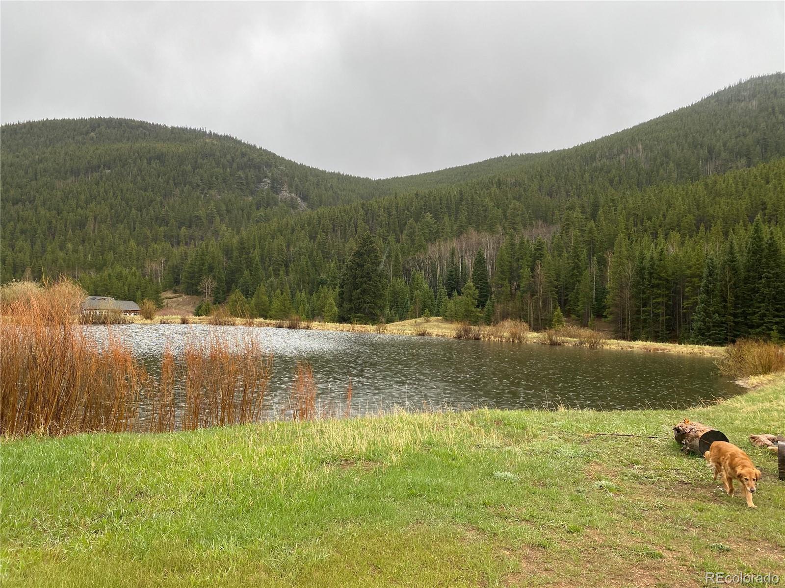 1054 Chicago Creek Road, Idaho Springs, CO 80452, 2 Bedrooms Bedrooms, ,1 BathroomBathrooms,Rental,For Rent,Chicago Creek,REC9191345