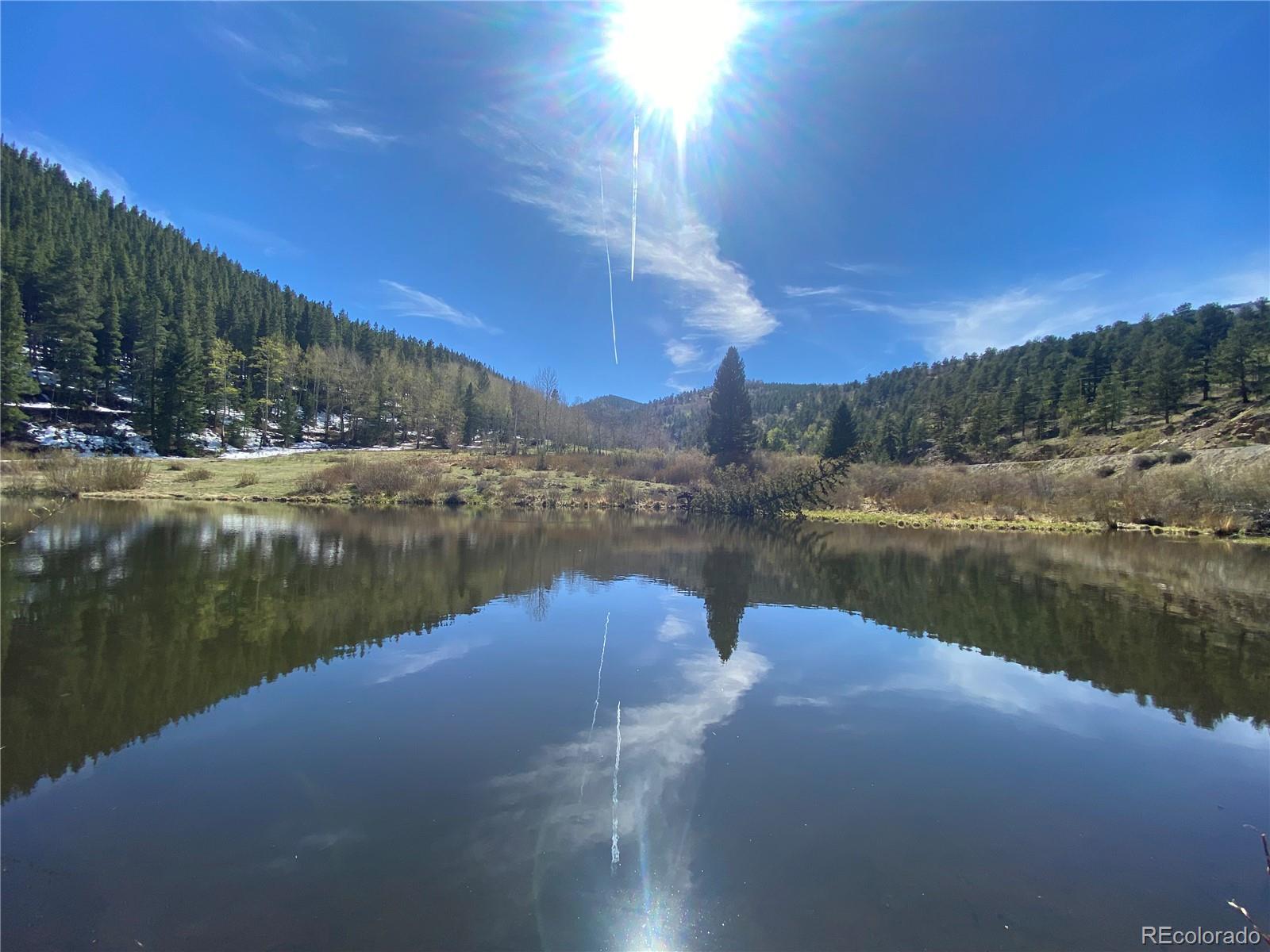 1054 Chicago Creek Road, Idaho Springs, CO 80452, 2 Bedrooms Bedrooms, ,1 BathroomBathrooms,Rental,For Rent,Chicago Creek,REC9191345