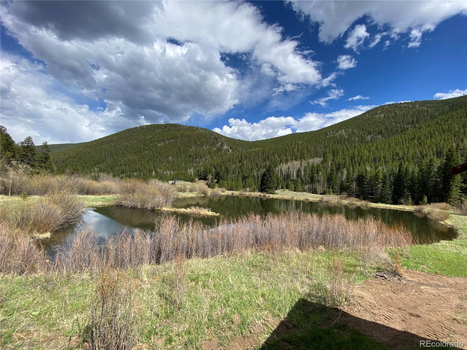 1054 Chicago Creek Road, Idaho Springs, CO 80452, 2 Bedrooms Bedrooms, ,1 BathroomBathrooms,Rental,For Rent,Chicago Creek,REC9191345