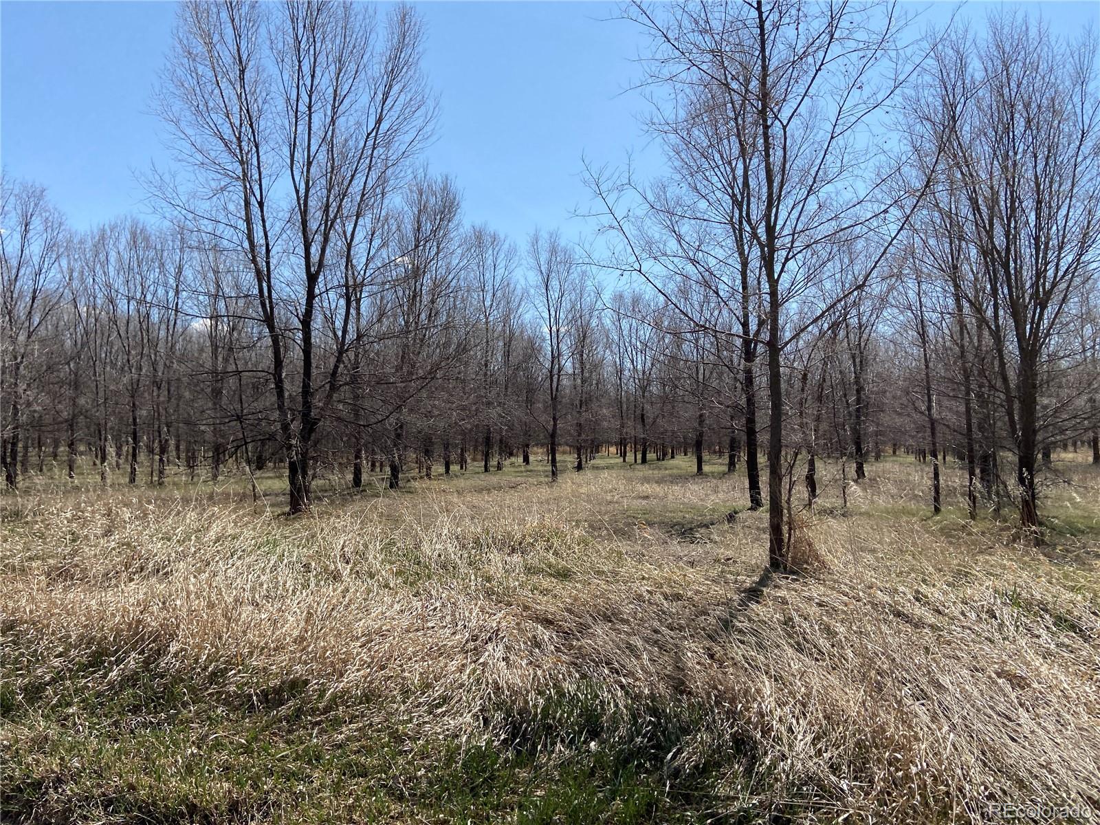 54 5N, Merino, CO 80741, ,Land,For Sale,54 5N,REC2643786