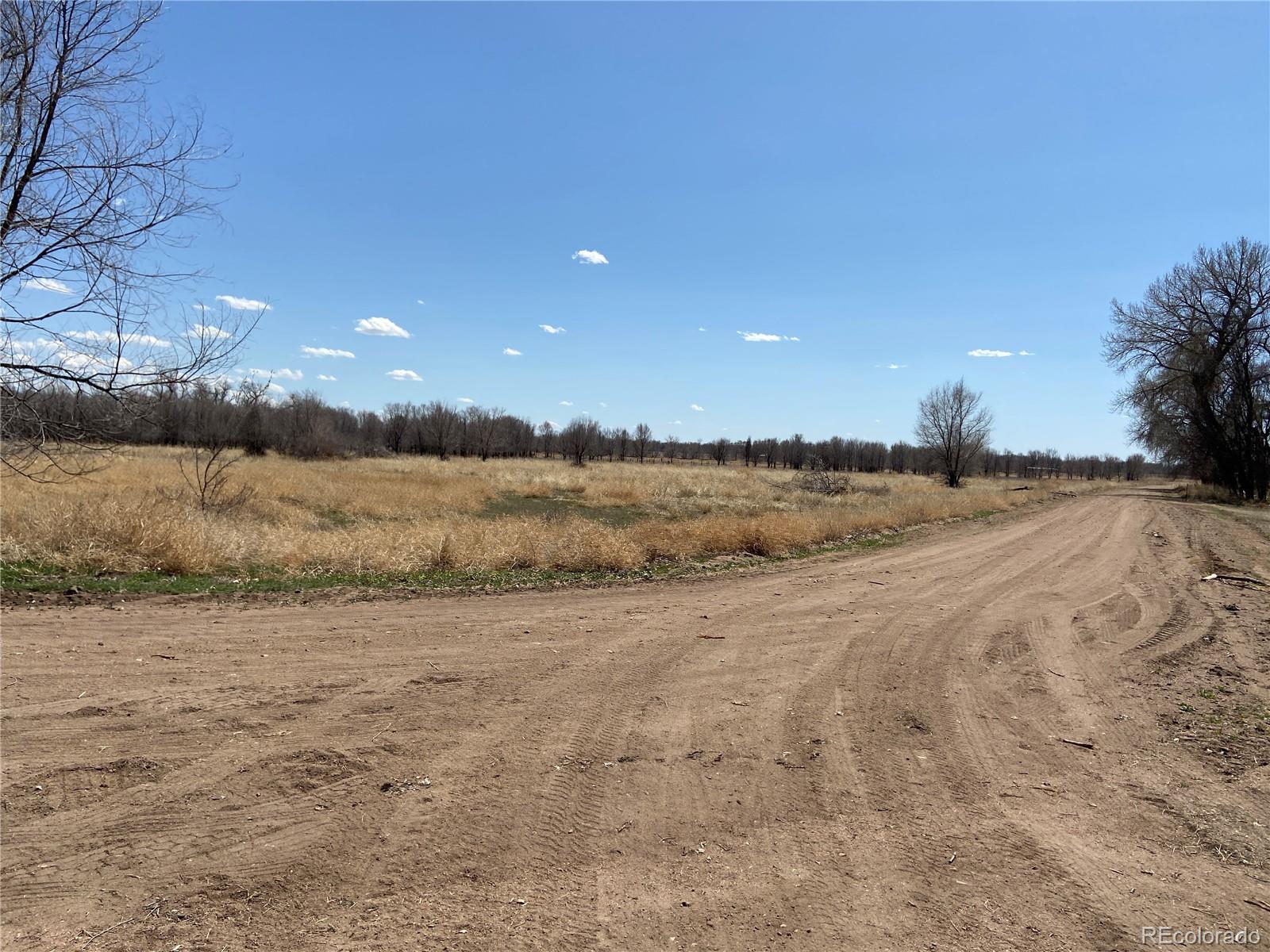 54 5N, Merino, CO 80741, ,Land,For Sale,54 5N,REC2643786