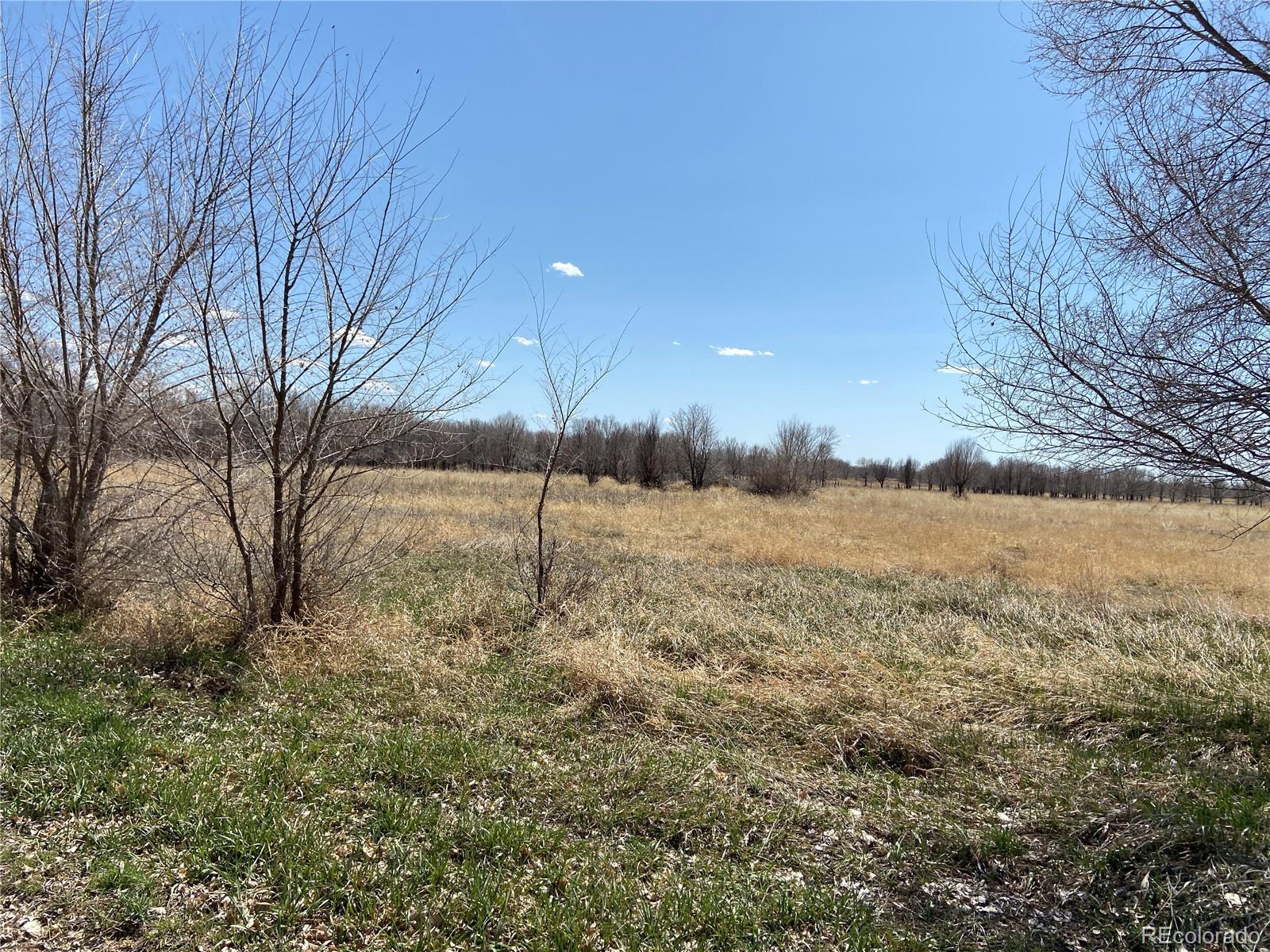 54 5N, Merino, CO 80741, ,Land,For Sale,54 5N,REC2643786