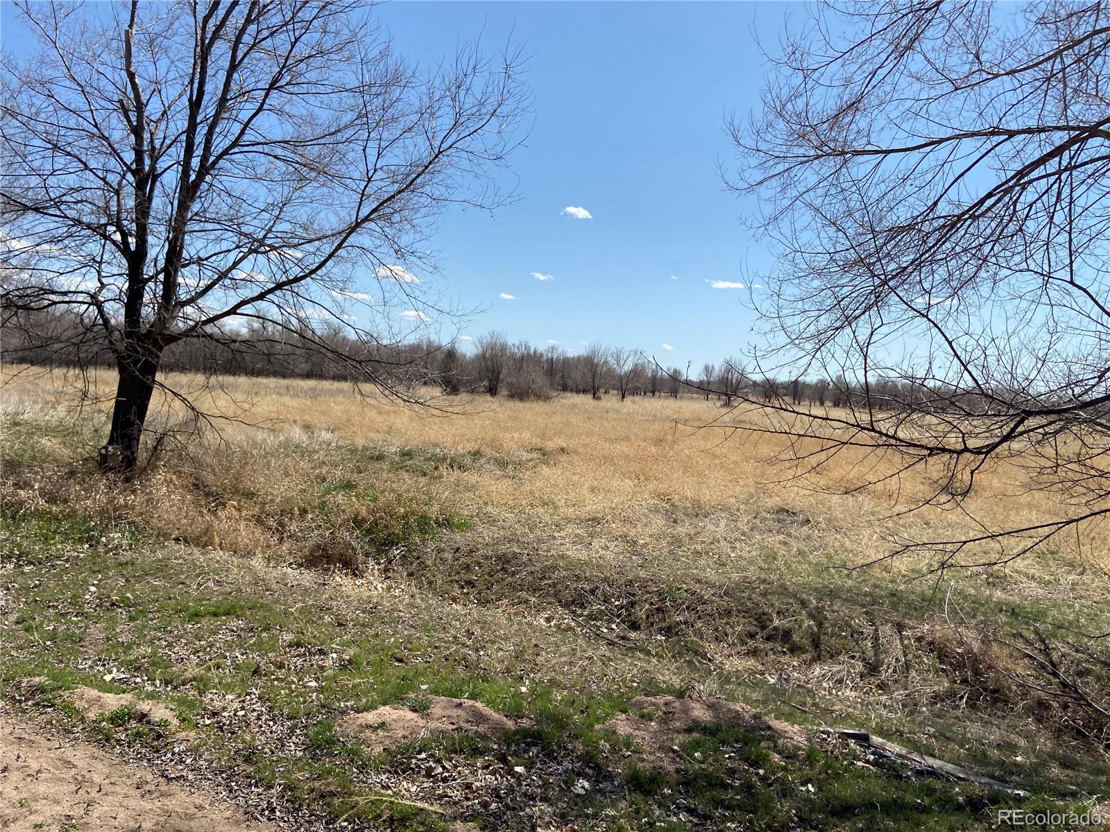 54 5N, Merino, CO 80741, ,Land,For Sale,54 5N,REC2643786