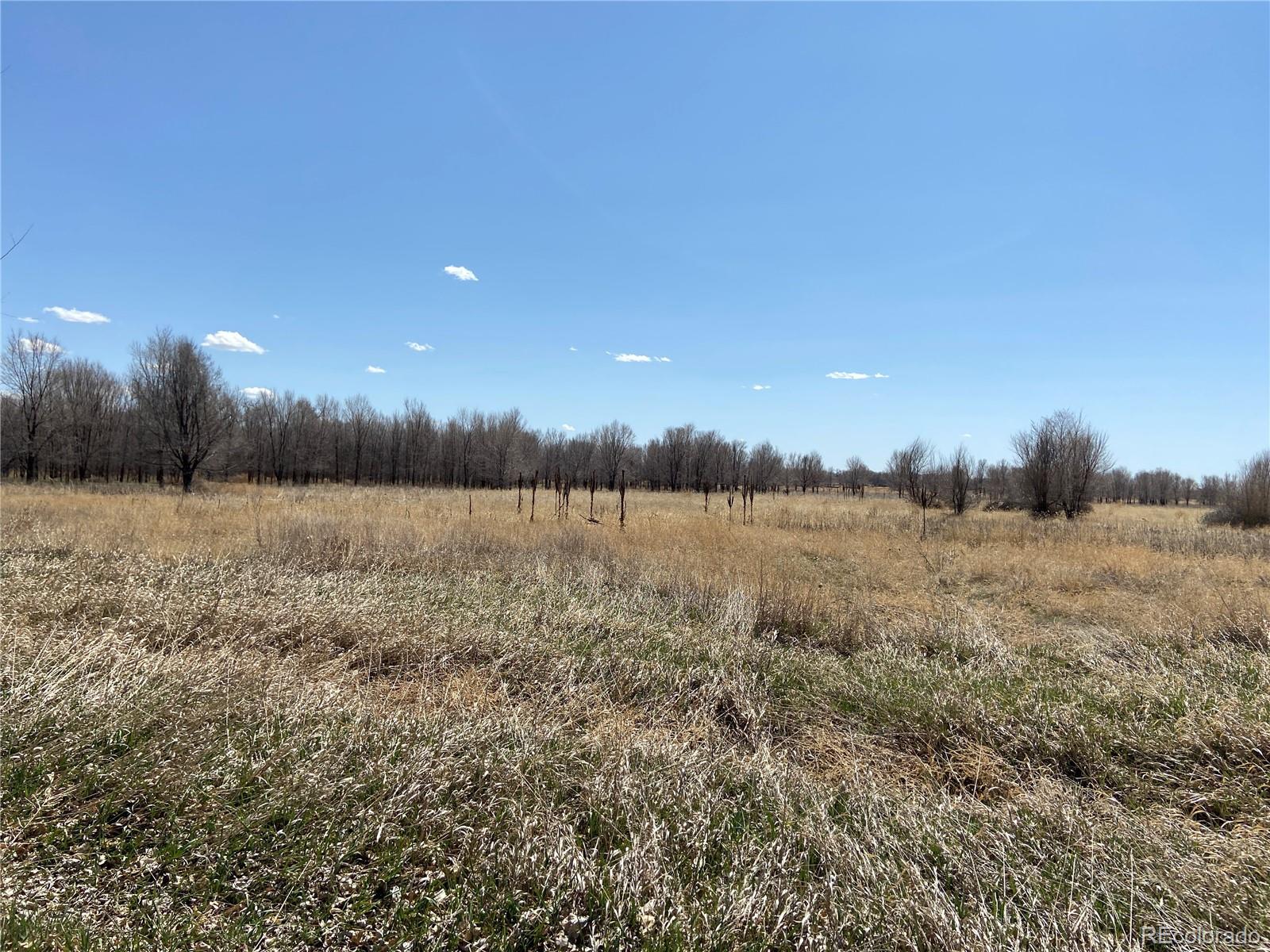 54 5N, Merino, CO 80741, ,Land,For Sale,54 5N,REC2643786