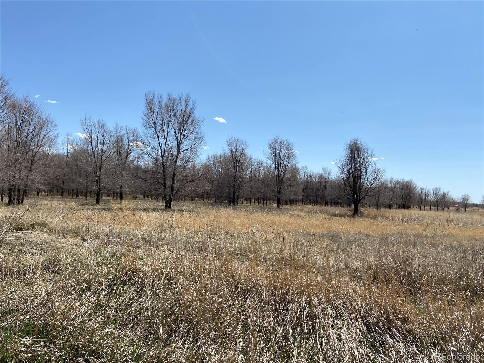 54 5N, Merino, CO 80741, ,Land,For Sale,54 5N,REC2643786