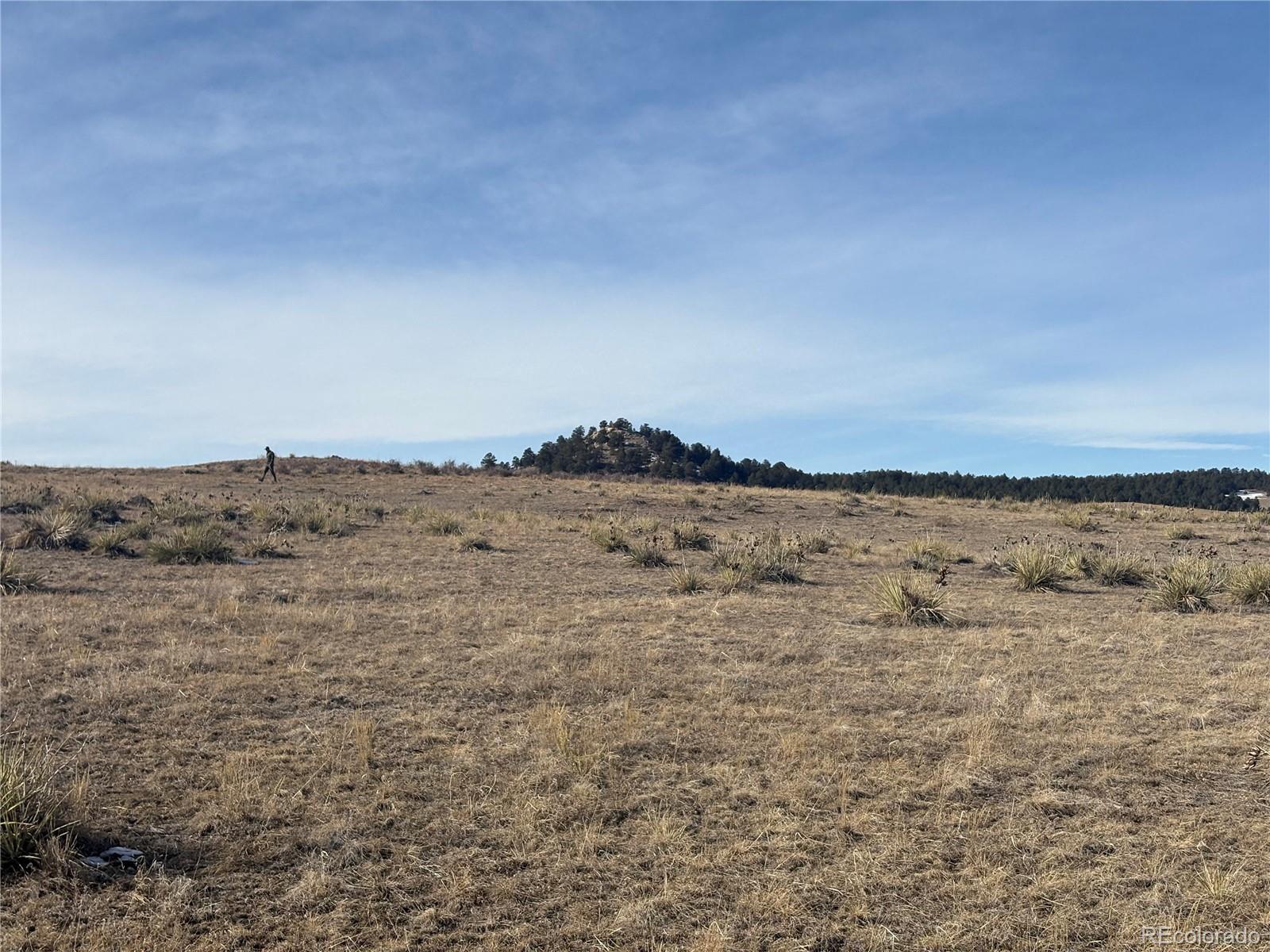 16505 Warriors Path Drive, Peyton, CO 80831, ,Land,For Sale,Warriors Path,REC7272180