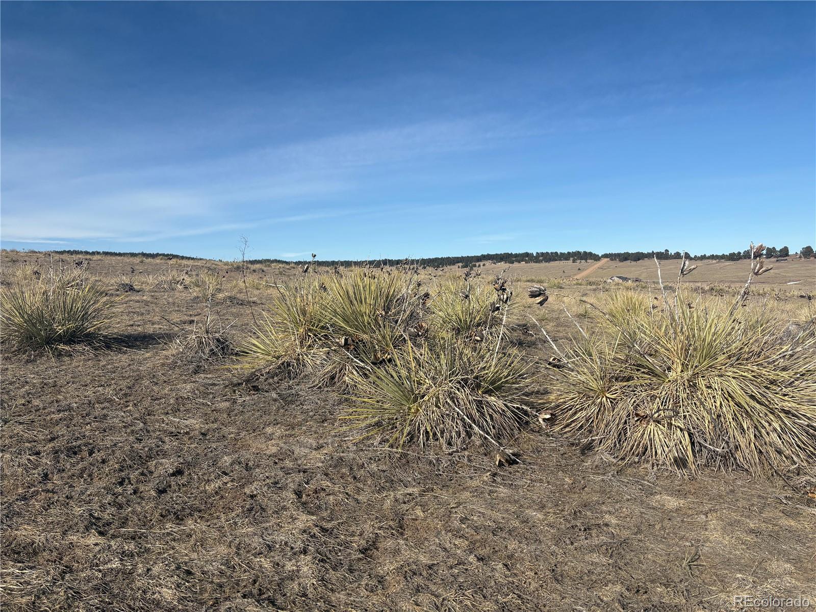16505 Warriors Path Drive, Peyton, CO 80831, ,Land,For Sale,Warriors Path,REC7272180