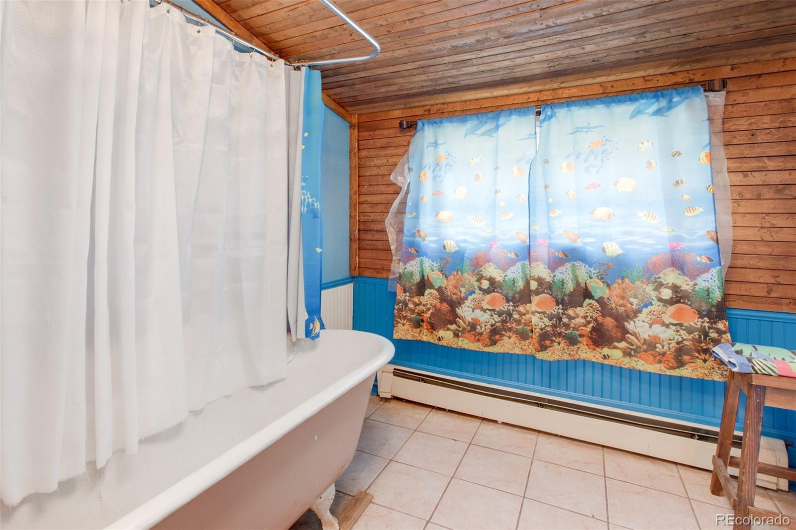 119 E Eaton Avenue, Cripple Creek, CO 80813, 4 Bedrooms Bedrooms, ,2 BathroomsBathrooms,Residential,For Sale,Eaton,REC4348406