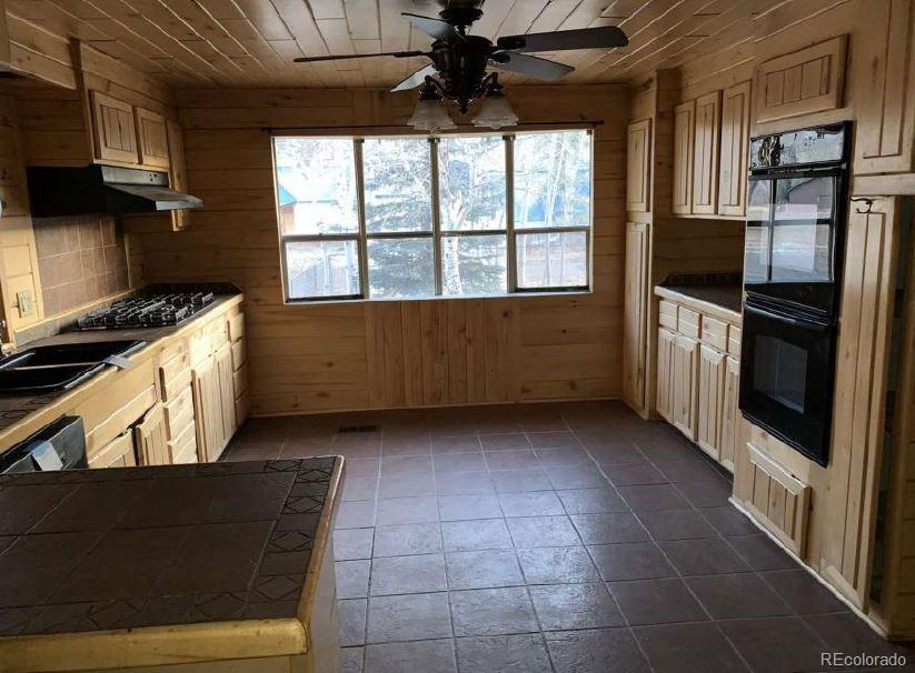 Restricted Address, South Fork, CO 81154, 4 Bedrooms Bedrooms, ,3 BathroomsBathrooms,Residential,For Sale,Comanche Peak,REC3383182