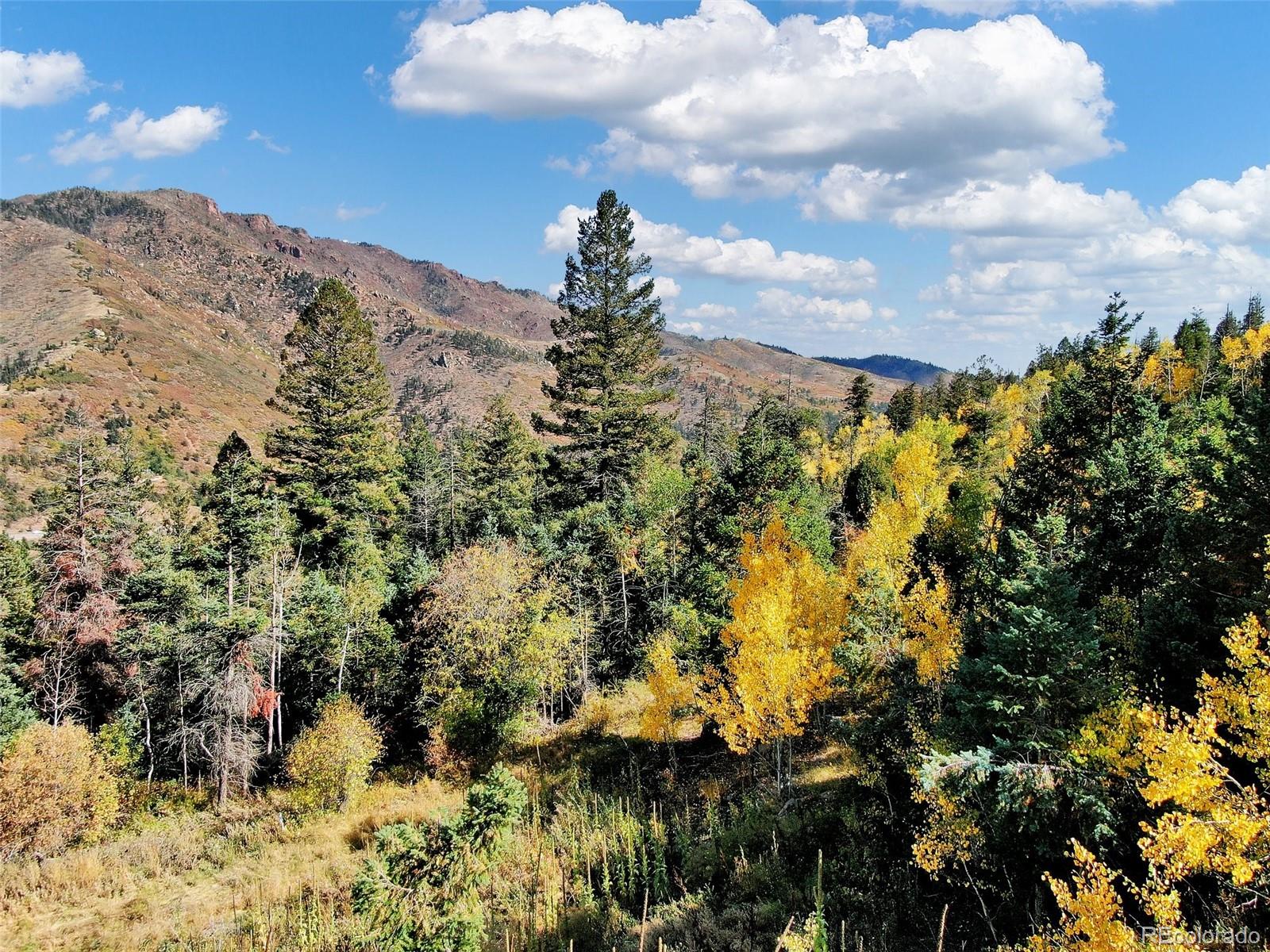 5260 Kulsa Road, Cascade, CO 80809, ,Land,For Sale,Kulsa,REC9722116