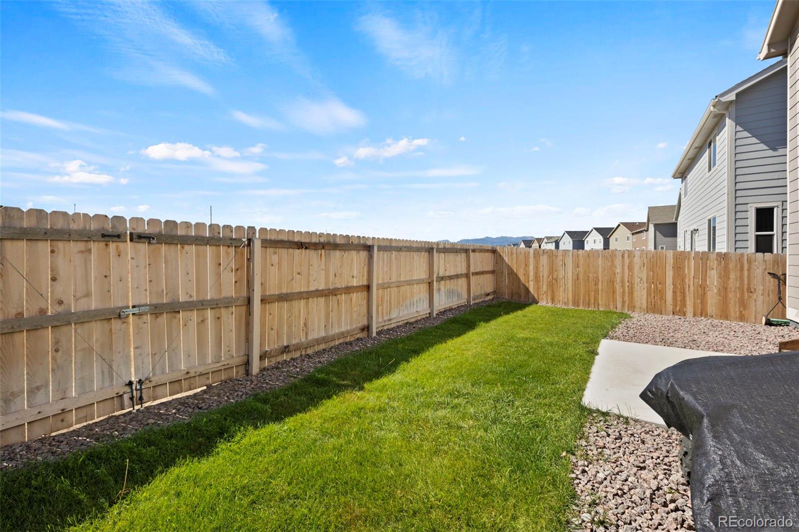10599 Horton Drive, Colorado Springs, CO 80925, 4 Bedrooms Bedrooms, ,3 BathroomsBathrooms,Rental,For Rent,Horton,REC2368328