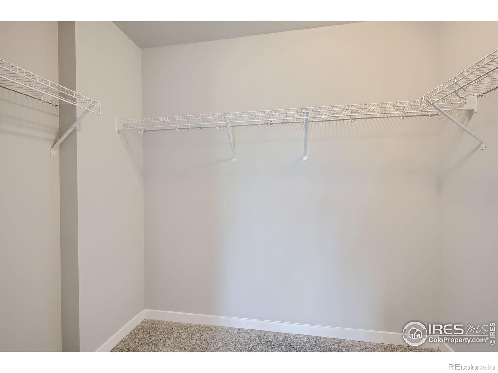 786 Pokeweed Lane, Fort Collins, CO 80524, 2 Bedrooms Bedrooms, ,3 BathroomsBathrooms,Residential,For Sale,Pokeweed,RECIR1023661