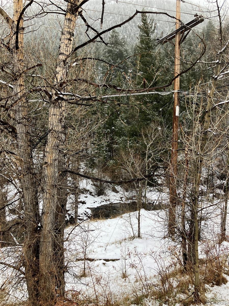 2038 County 308 Road, Lawson, CO 80438, 2 Bedrooms Bedrooms, ,1 BathroomBathrooms,Residential,For Sale,County 308,REC6545721
