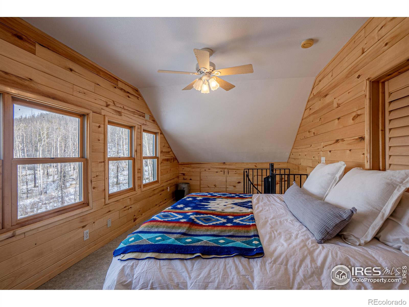 1055 Granite Road, Bellvue, CO 80512, 2 Bedrooms Bedrooms, ,1 BathroomBathrooms,Residential,For Sale,Granite,RECIR1023740