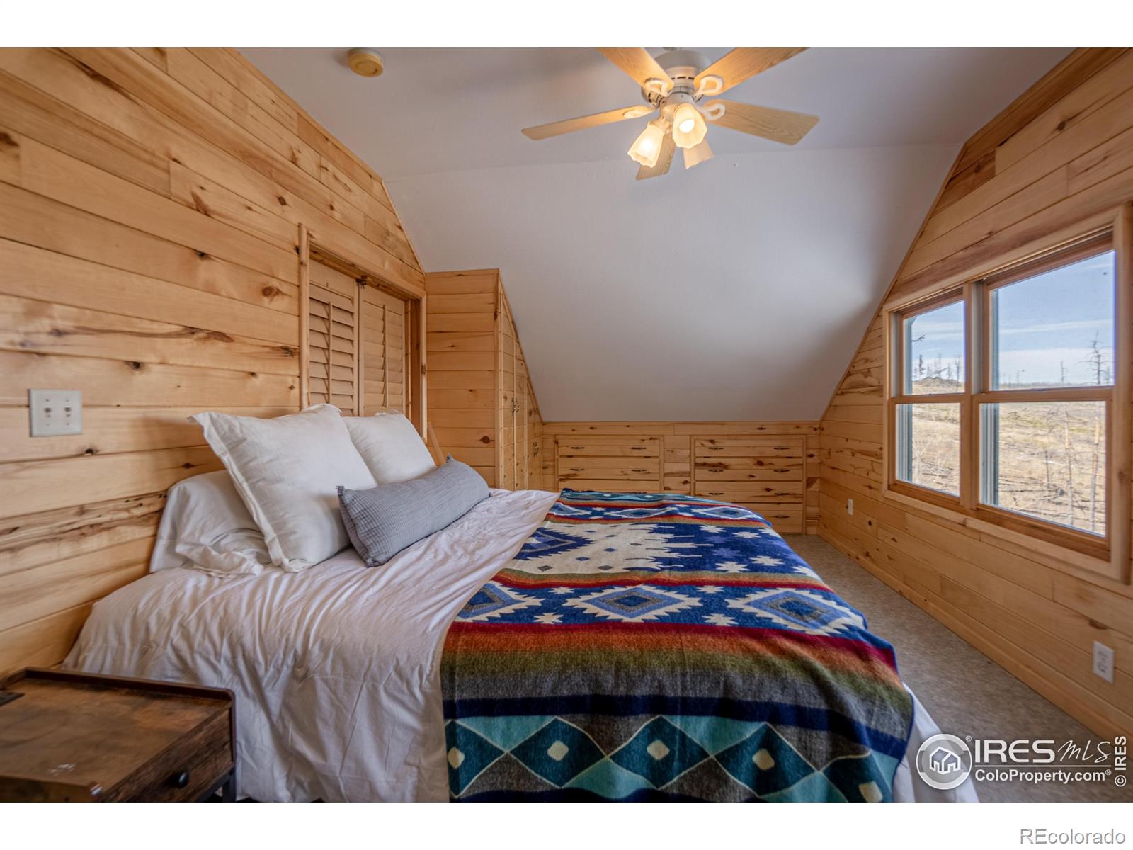 1055 Granite Road, Bellvue, CO 80512, 2 Bedrooms Bedrooms, ,1 BathroomBathrooms,Residential,For Sale,Granite,RECIR1023740