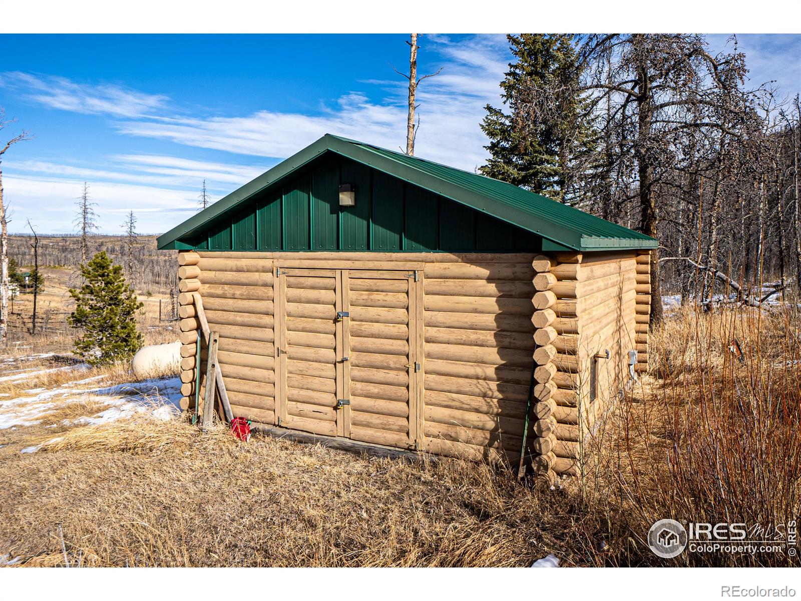 1055 Granite Road, Bellvue, CO 80512, 2 Bedrooms Bedrooms, ,1 BathroomBathrooms,Residential,For Sale,Granite,RECIR1023740