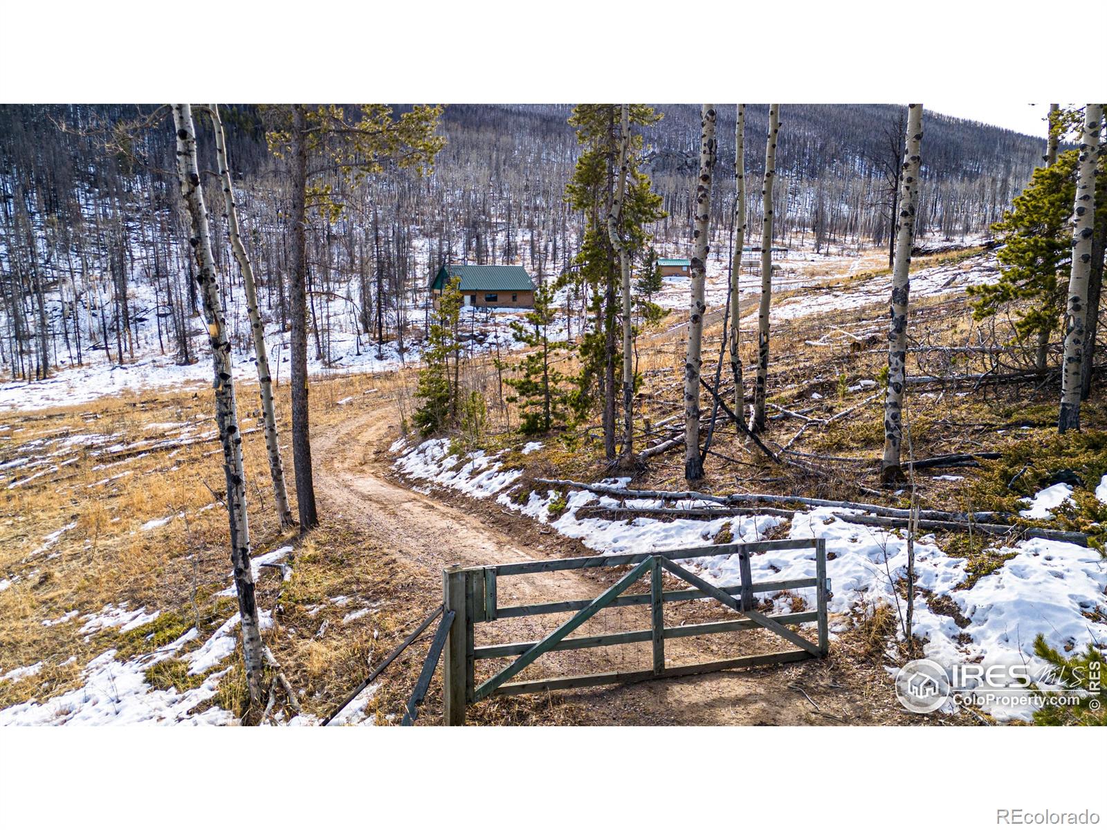 1055 Granite Road, Bellvue, CO 80512, 2 Bedrooms Bedrooms, ,1 BathroomBathrooms,Residential,For Sale,Granite,RECIR1023740