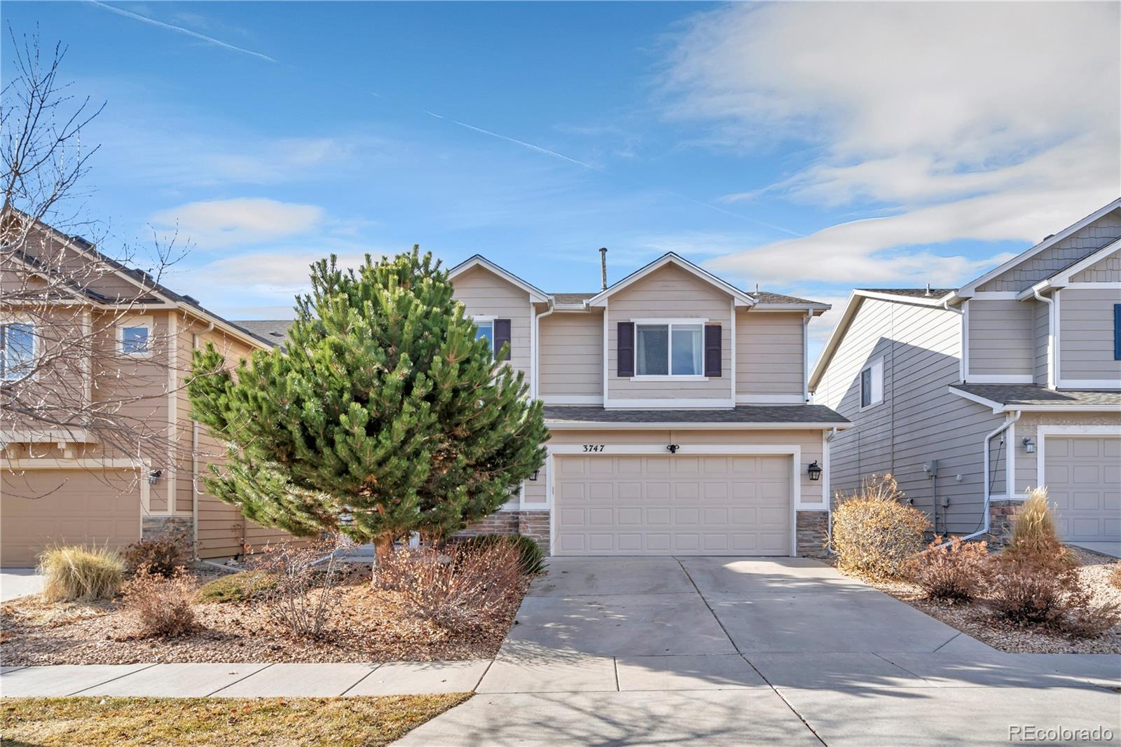 3747 Swainson Drive, Colorado Springs, CO 80922, 3 Bedrooms Bedrooms, ,3 BathroomsBathrooms,Residential,For Sale,Swainson,REC9828528