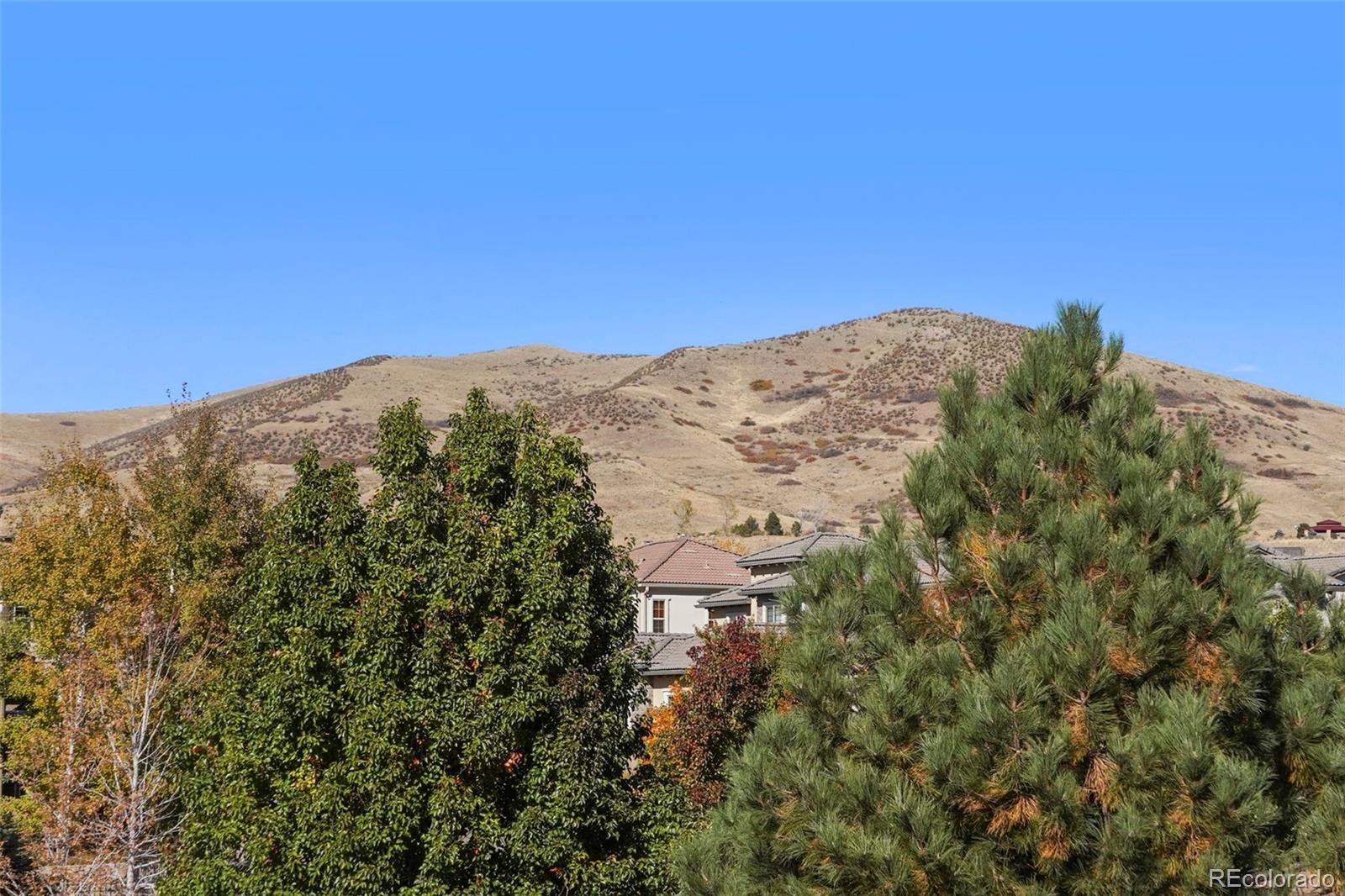 15162 Iliff Avenue, Lakewood, CO 80228, 4 Bedrooms Bedrooms, ,4 BathroomsBathrooms,Residential,For Sale,Iliff,REC9554901