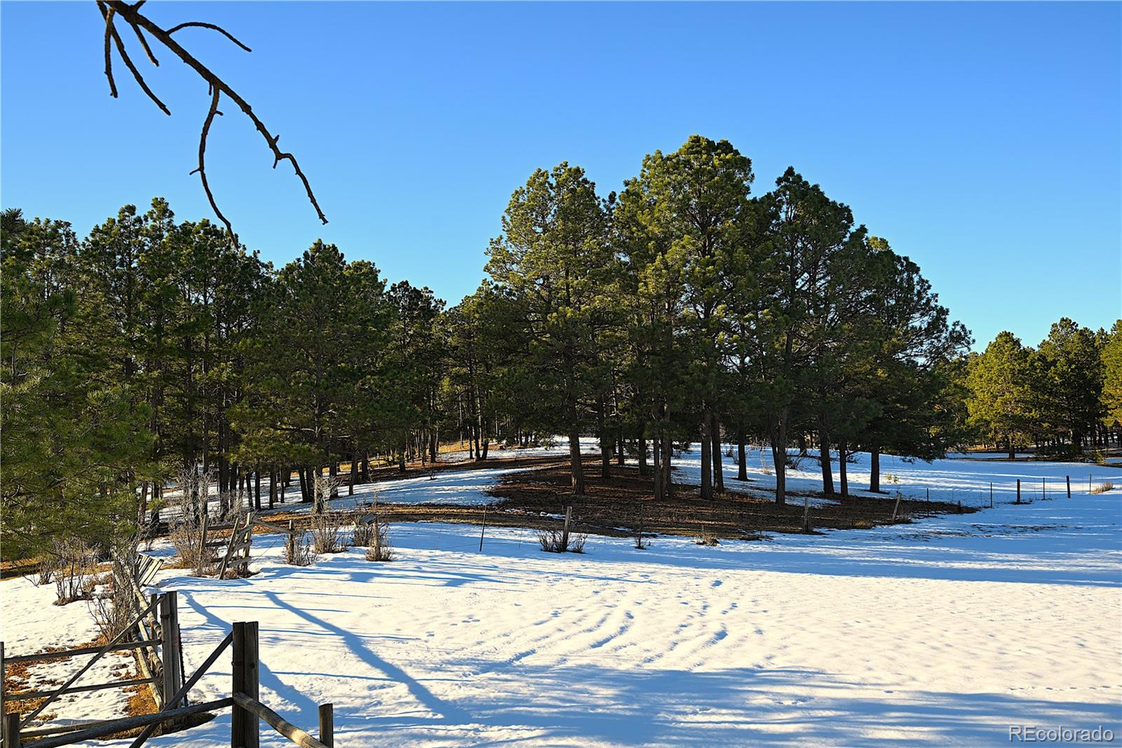 7190 Tobin Road, Colorado Springs, CO 80908, ,Land,For Sale,Tobin,REC9587650