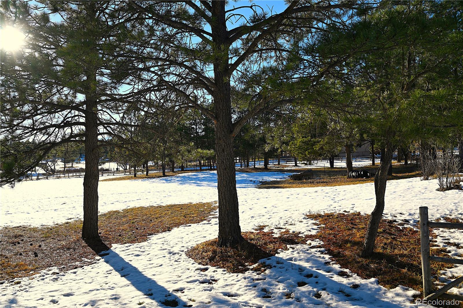7190 Tobin Road, Colorado Springs, CO 80908, ,Land,For Sale,Tobin,REC9587650