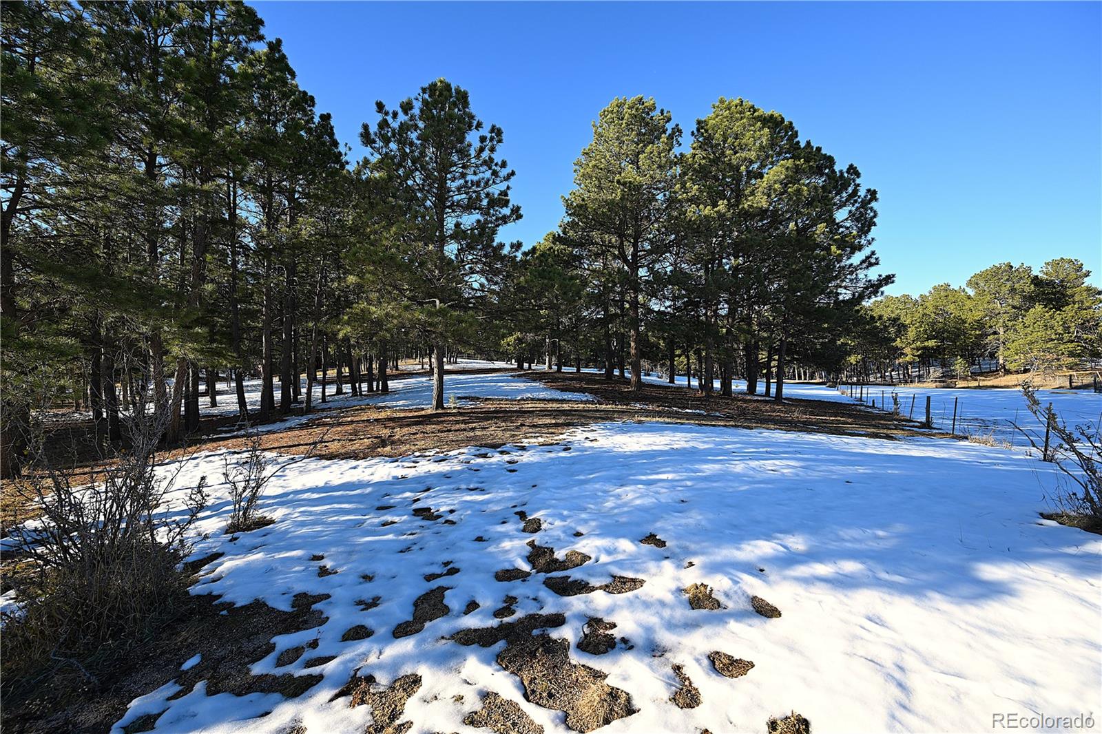 7190 Tobin Road, Colorado Springs, CO 80908, ,Land,For Sale,Tobin,REC9587650
