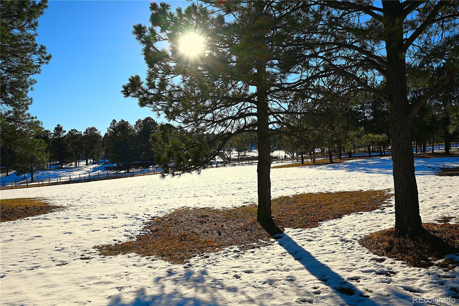 7190 Tobin Road, Colorado Springs, CO 80908, ,Land,For Sale,Tobin,REC9587650