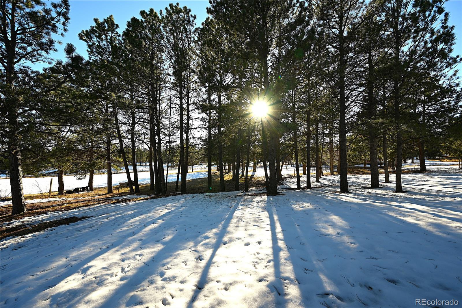 7190 Tobin Road, Colorado Springs, CO 80908, ,Land,For Sale,Tobin,REC9587650