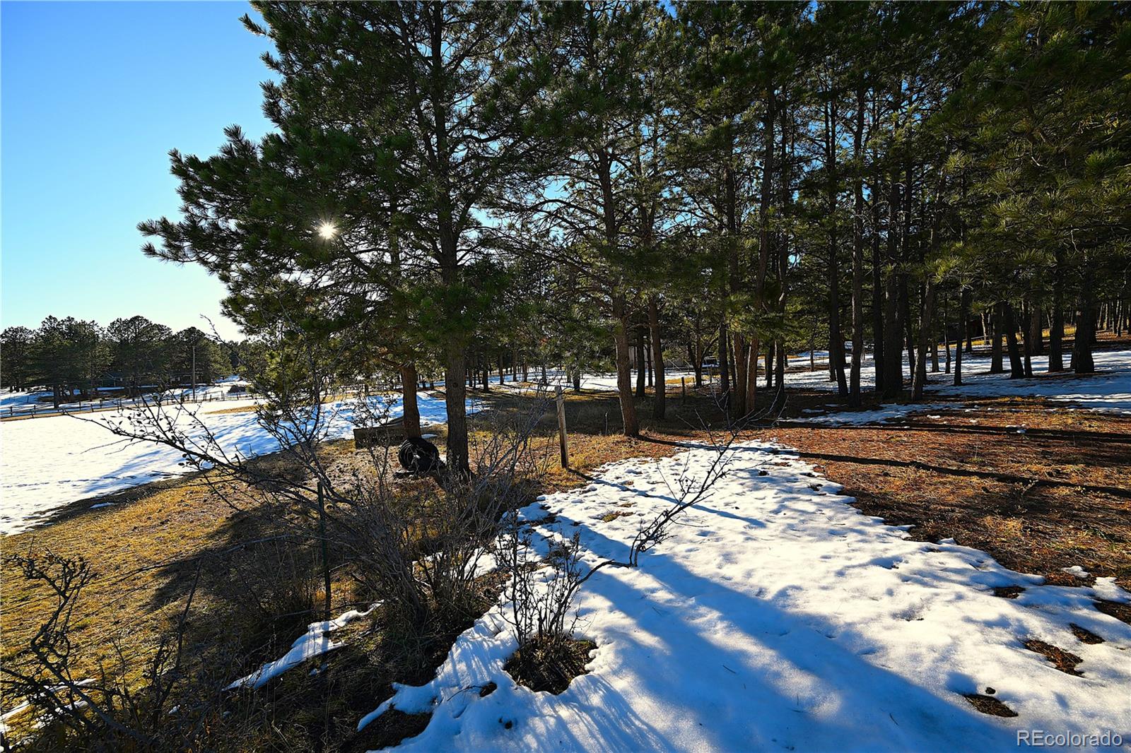 7190 Tobin Road, Colorado Springs, CO 80908, ,Land,For Sale,Tobin,REC9587650