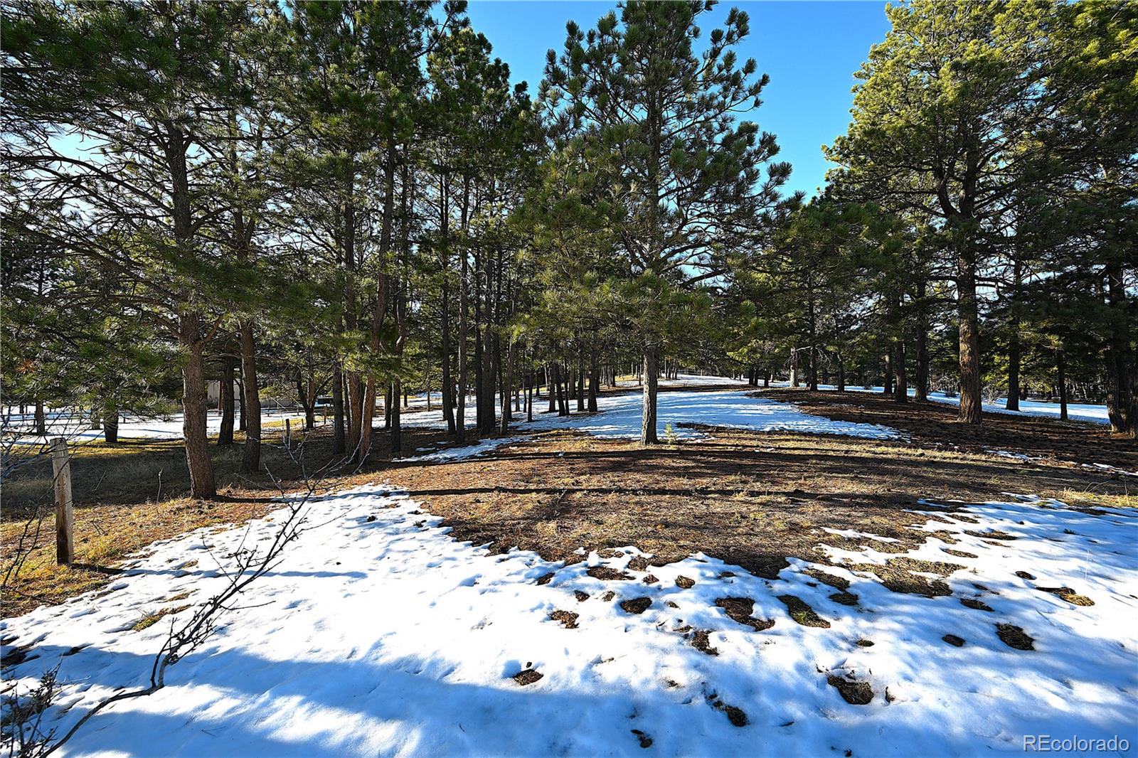 7190 Tobin Road, Colorado Springs, CO 80908, ,Land,For Sale,Tobin,REC9587650