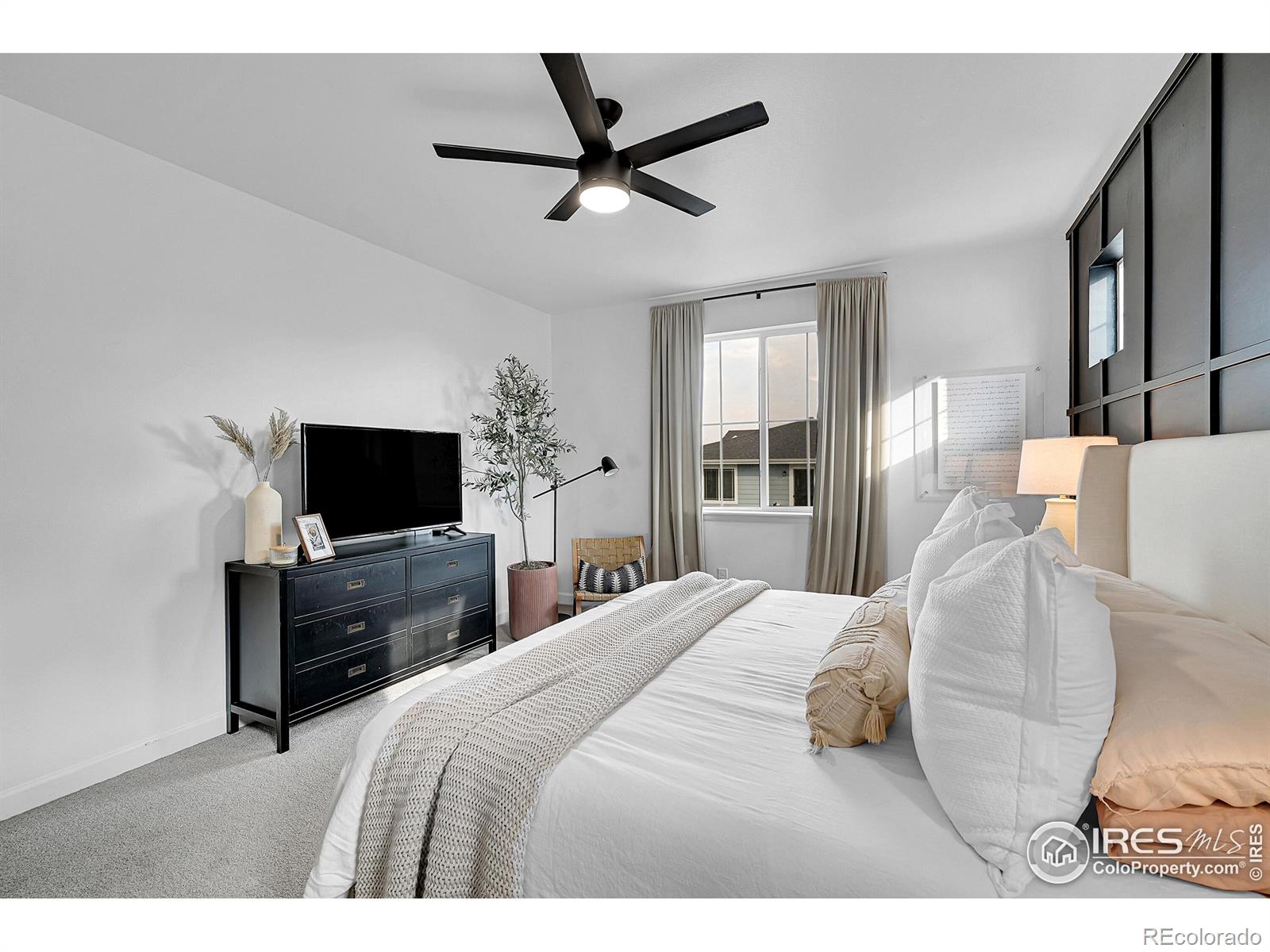 1783 Branching Canopy Drive, Windsor, CO 80550, 3 Bedrooms Bedrooms, ,3 BathroomsBathrooms,Residential,For Sale,Branching Canopy,RECIR1021620