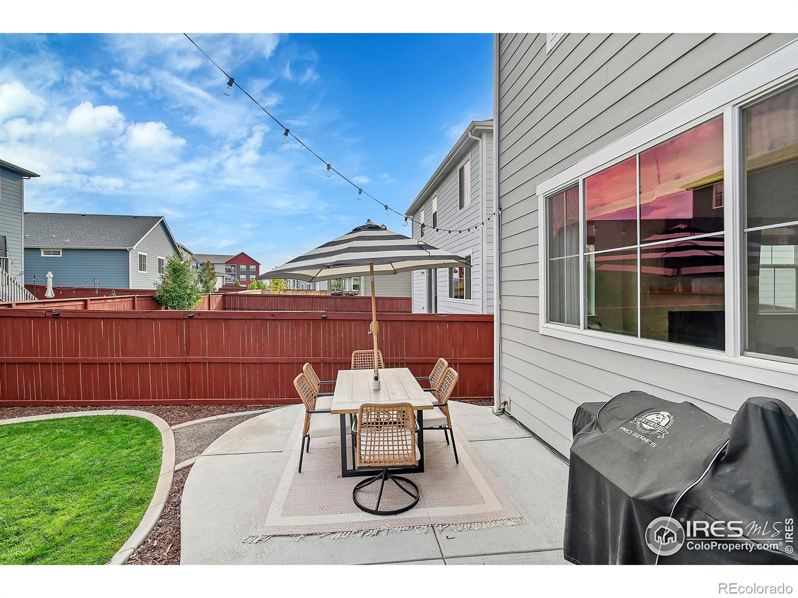 1783 Branching Canopy Drive, Windsor, CO 80550, 3 Bedrooms Bedrooms, ,3 BathroomsBathrooms,Residential,For Sale,Branching Canopy,RECIR1021620