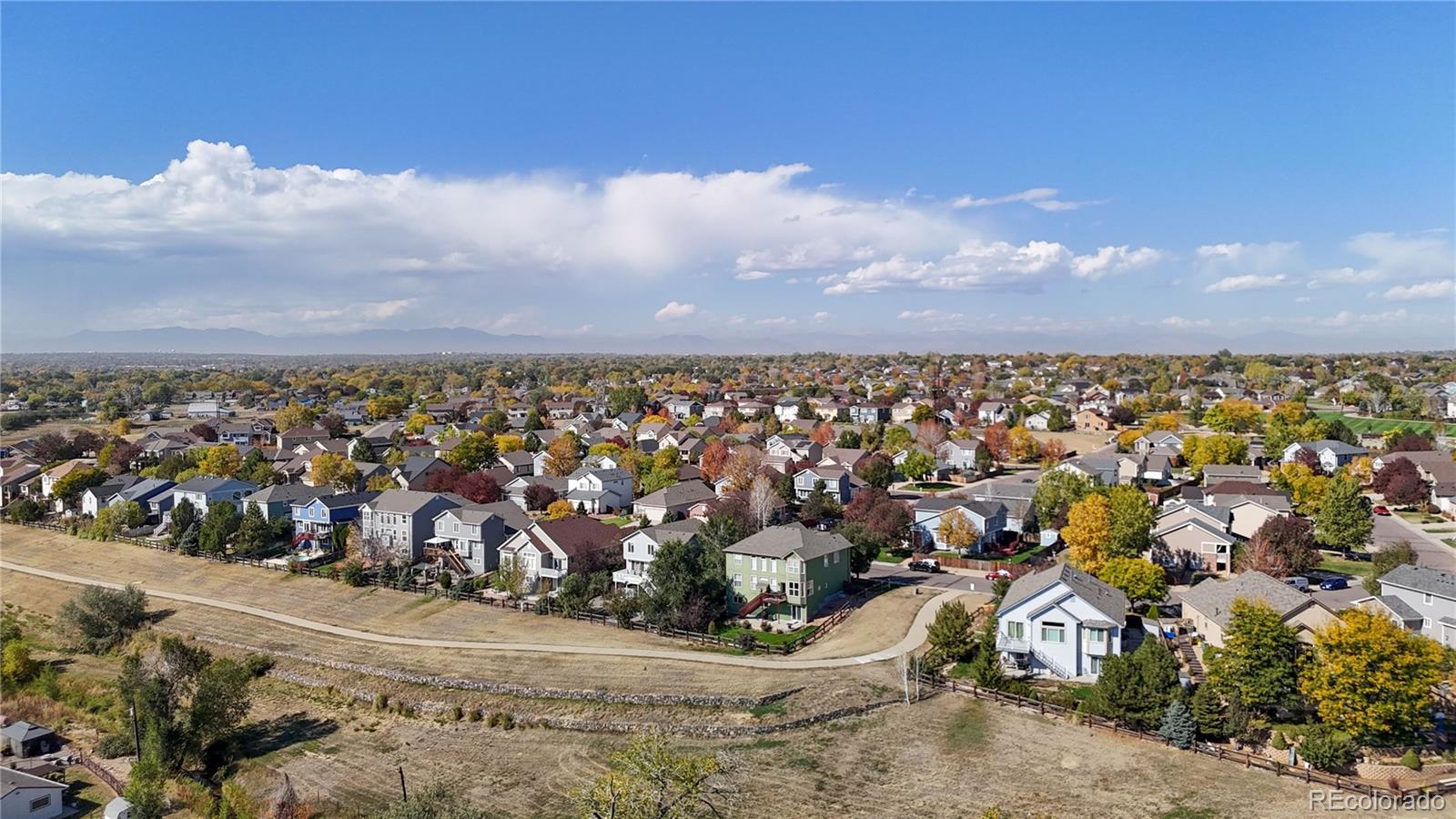11416 Newport Street, Thornton, CO 80233, 4 Bedrooms Bedrooms, ,3 BathroomsBathrooms,Residential,For Sale,Newport,REC2937781