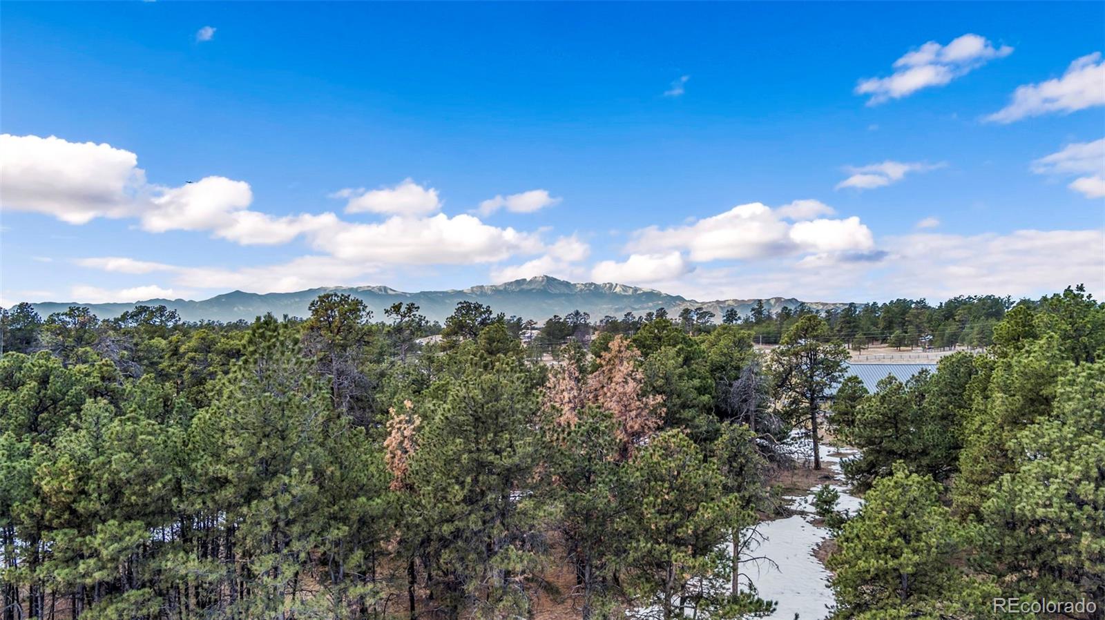 9820 Burgess Road, Colorado Springs, CO 80908, ,Land,For Sale,Burgess,REC3372072