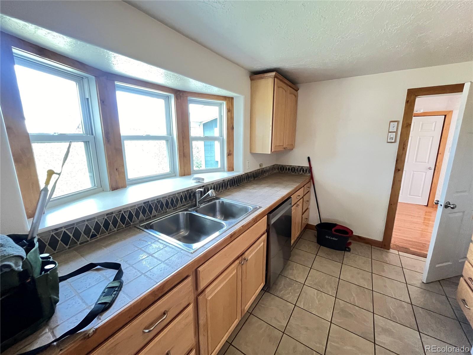 650 Castello Avenue, Fairplay, CO 80440, 4 Bedrooms Bedrooms, ,2 BathroomsBathrooms,Rental,For Rent,Castello,REC9393870