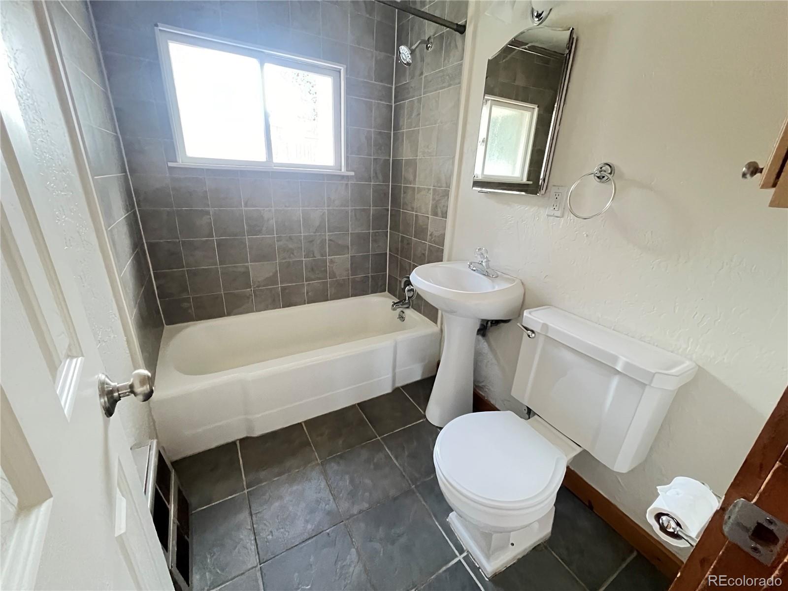 650 Castello Avenue, Fairplay, CO 80440, 4 Bedrooms Bedrooms, ,2 BathroomsBathrooms,Rental,For Rent,Castello,REC9393870