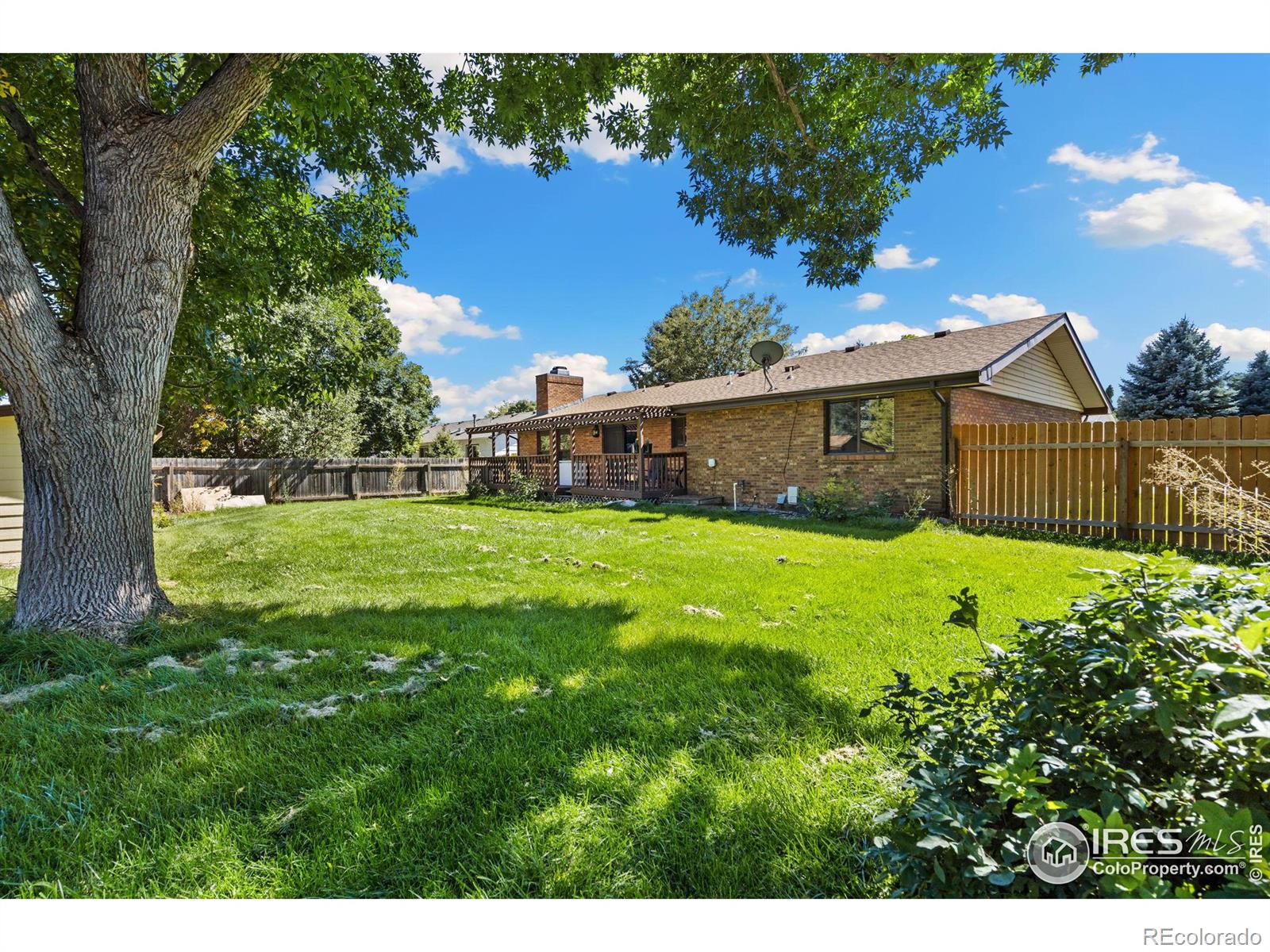 1029 Redbud Drive, Loveland, CO 80538, 3 Bedrooms Bedrooms, ,2 BathroomsBathrooms,Residential,For Sale,Redbud,RECIR1023902