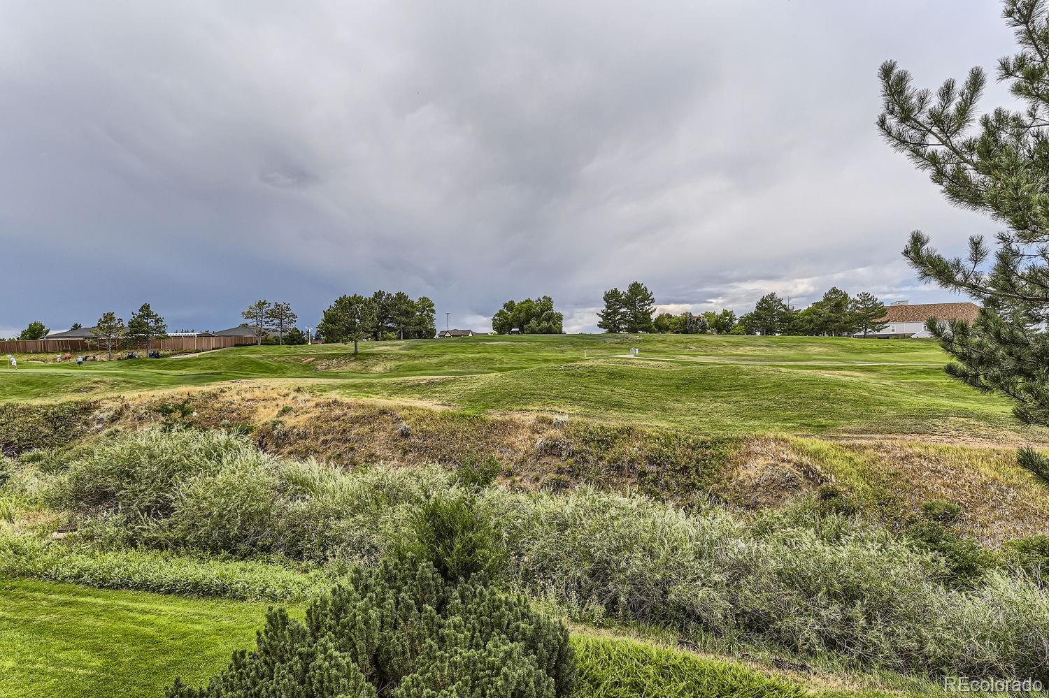 9833 Greensview Circle, Lone Tree, CO 80124, 3 Bedrooms Bedrooms, ,4 BathroomsBathrooms,Residential,For Sale,Greensview,REC5302303
