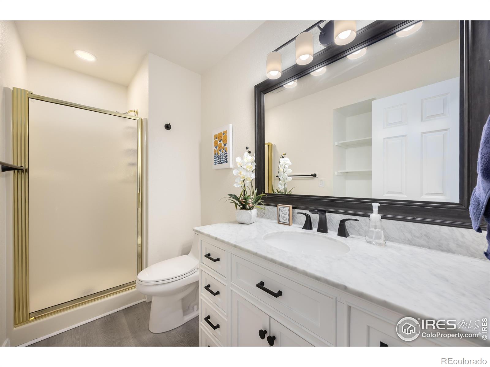 2480 Boise Avenue, Loveland, CO 80538, 2 Bedrooms Bedrooms, ,2 BathroomsBathrooms,Residential,For Sale,Boise,RECIR1023798