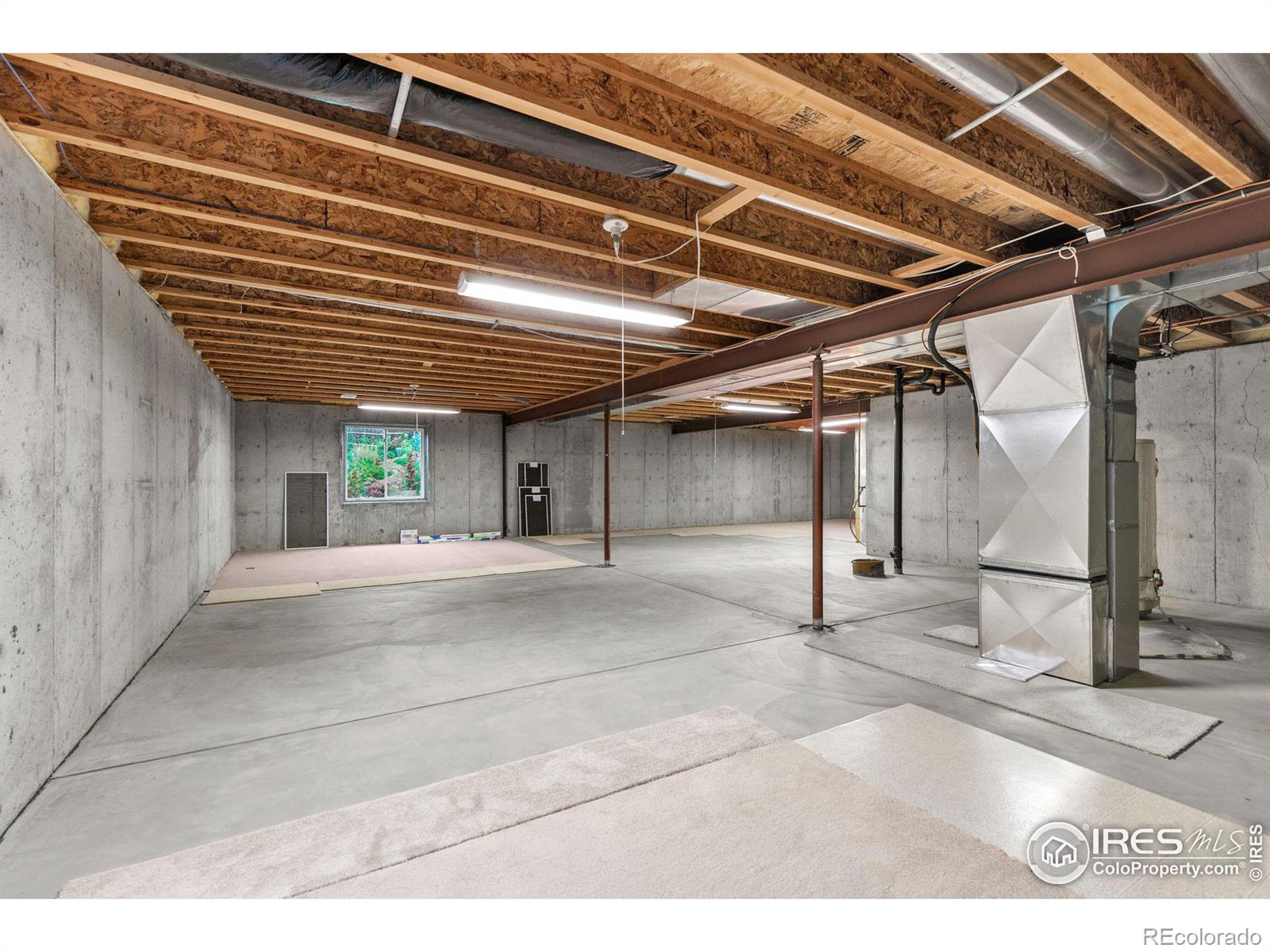 1130 Patricia Drive, Loveland, CO 80537, 2 Bedrooms Bedrooms, ,2 BathroomsBathrooms,Residential,For Sale,Patricia,RECIR1023815