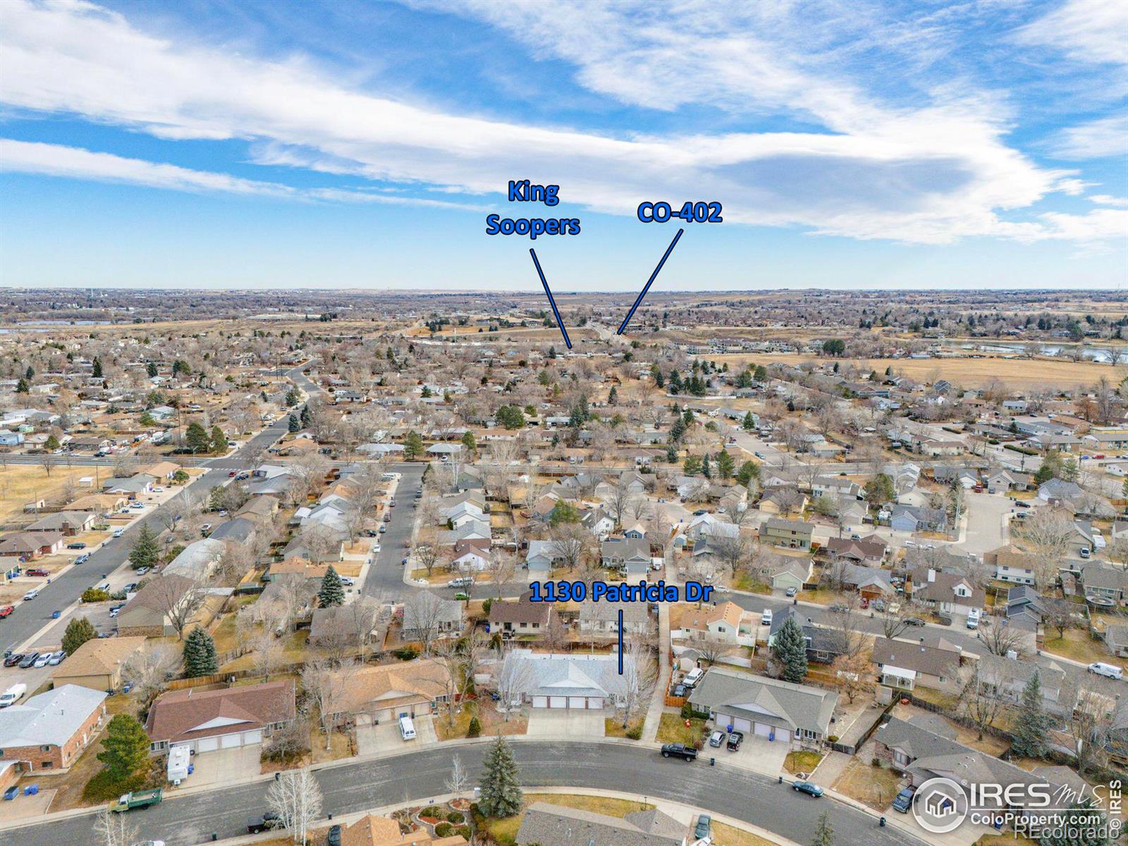 1130 Patricia Drive, Loveland, CO 80537, 2 Bedrooms Bedrooms, ,2 BathroomsBathrooms,Residential,For Sale,Patricia,RECIR1023815